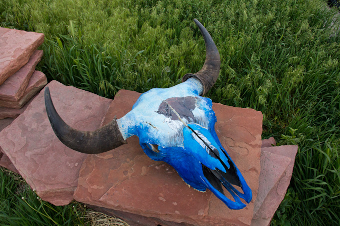 Painted Buffalo Skull