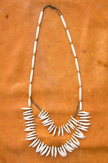 Double-Strand Coyote Tooth Necklace