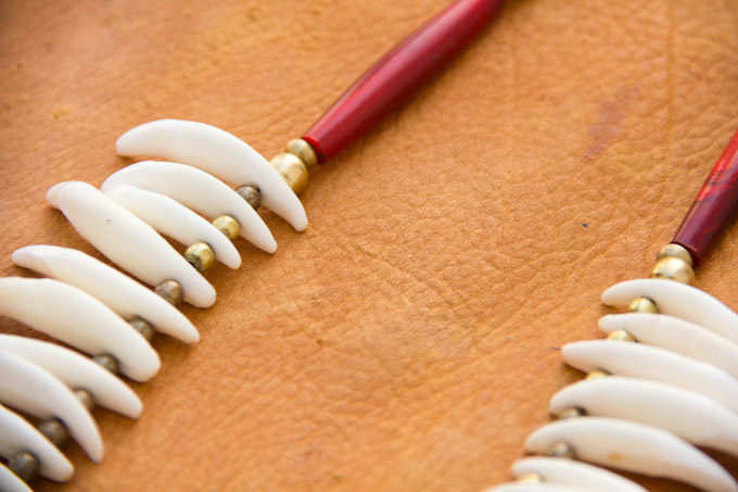 Coyote Tooth Necklace