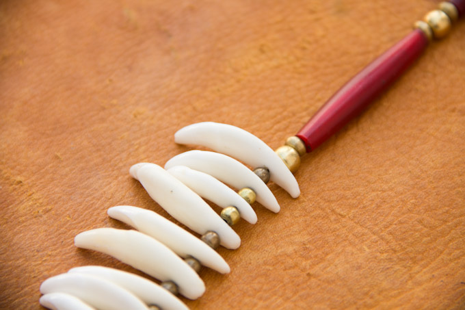 Coyote Tooth Necklace